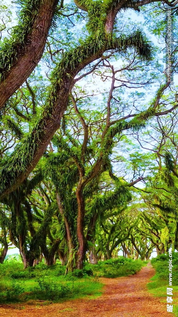 山水自然风景视频素材