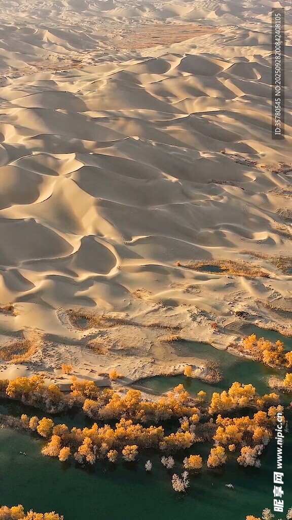 沙漠湖畔的秋日壮丽景观