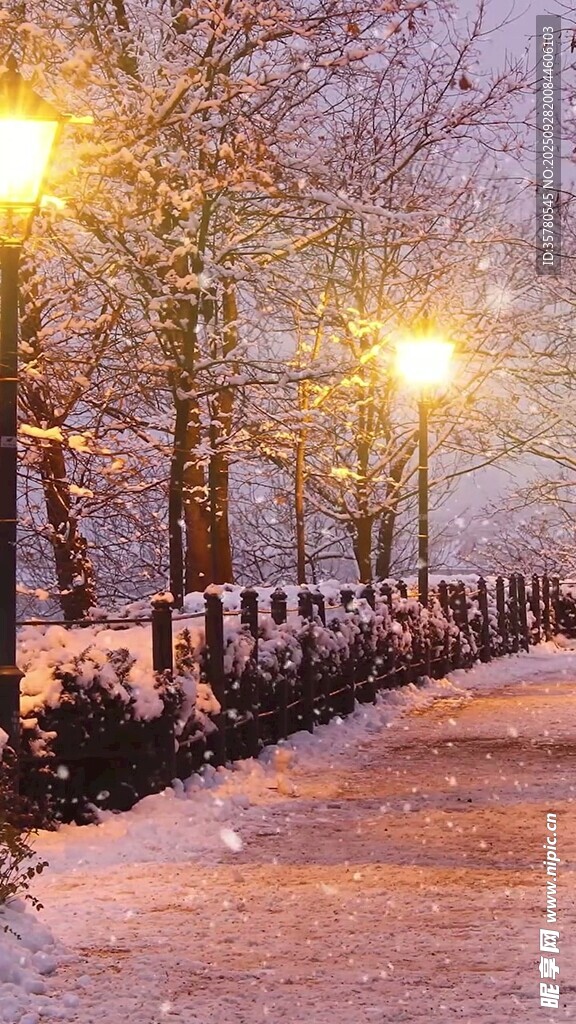 雪夜路灯下的静谧小道