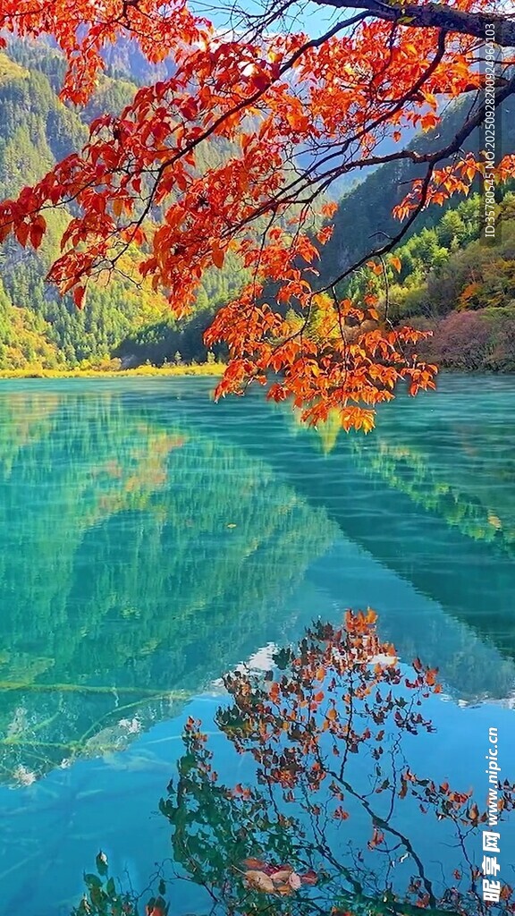 山水自然风景视频素材