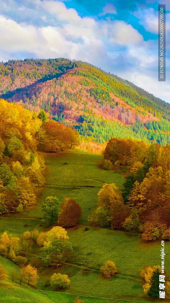 秋日多彩山林美景