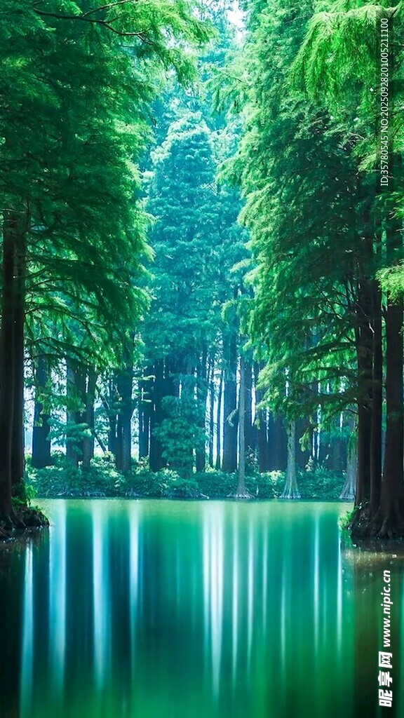 山水自然风景视频素材