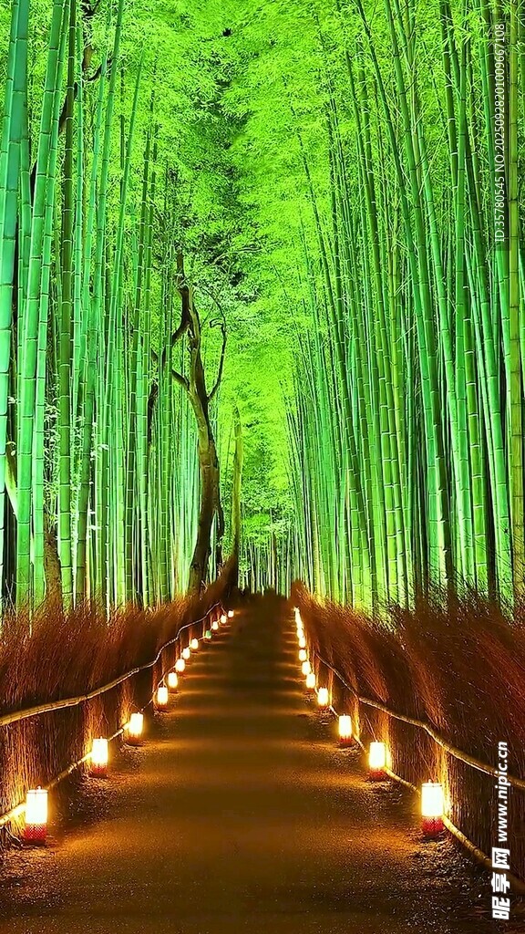 竹林烛光小径梦幻美景