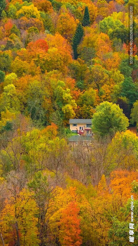 秋日山林中的隐秘小屋