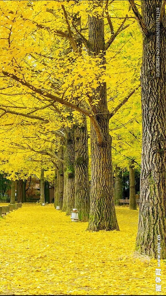 山水自然风景视频素材