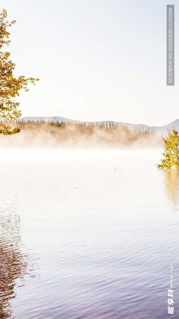 湖畔晨雾中的静谧自然景
