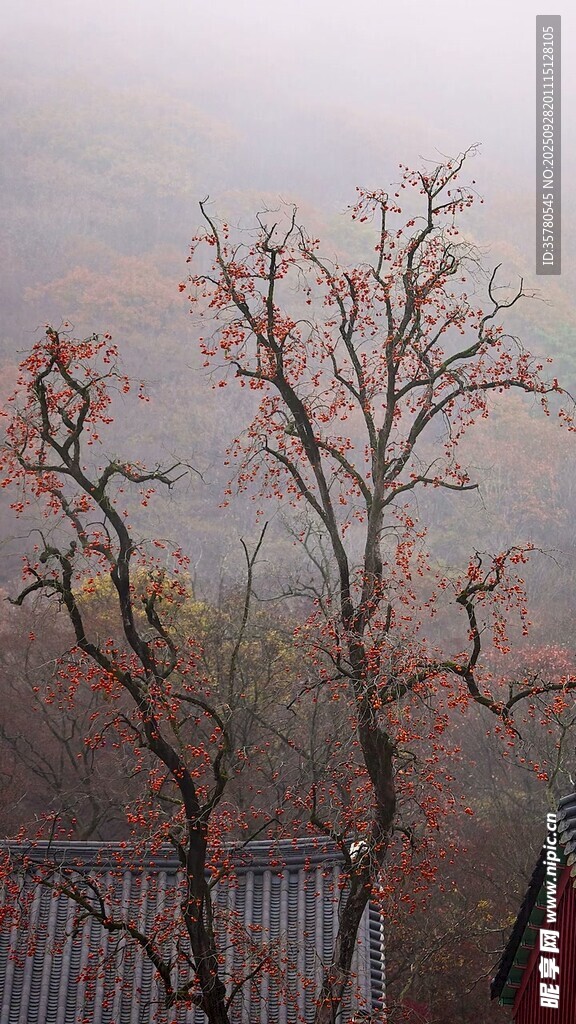 山水自然风景视频素材