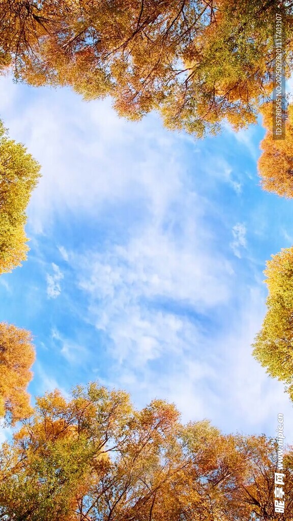 山水自然风景视频素材