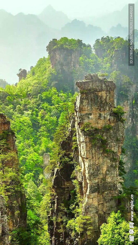 奇峰林立的壮美山林景观