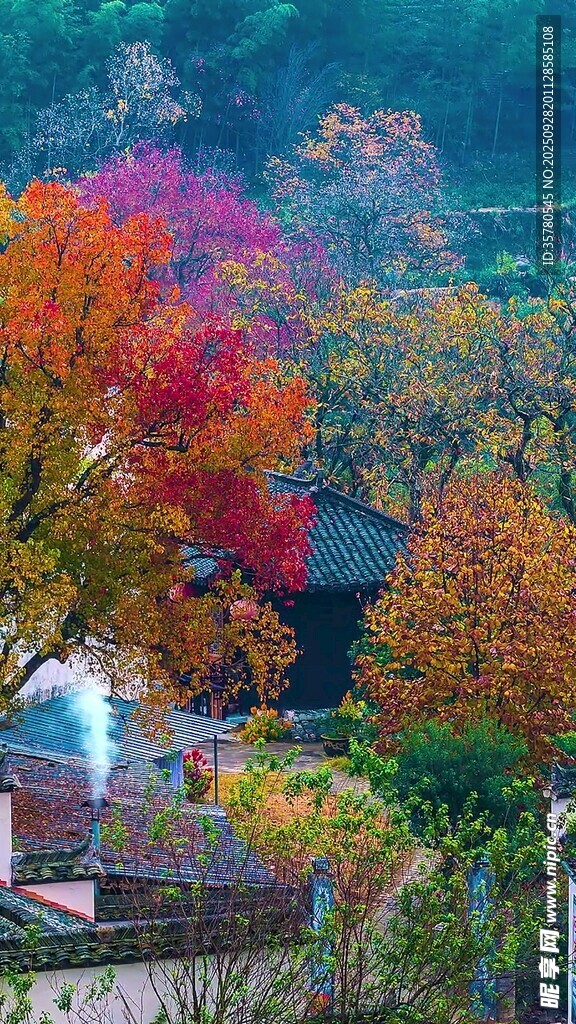 秋日山村彩叶美景