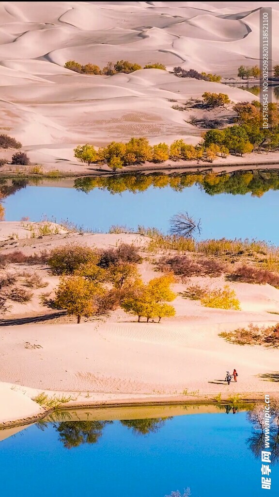 沙漠中的静谧湖水景观