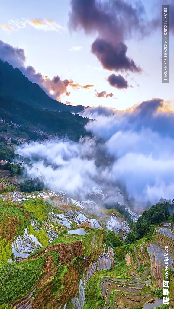 山间梯田云海壮丽景观
