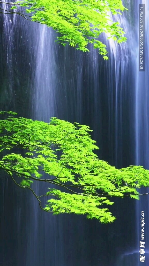 瀑布旁翠绿枝叶美景