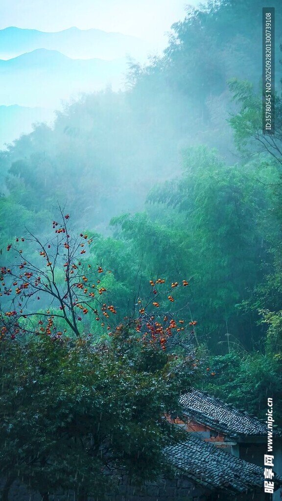 山间晨雾中的绿意景致