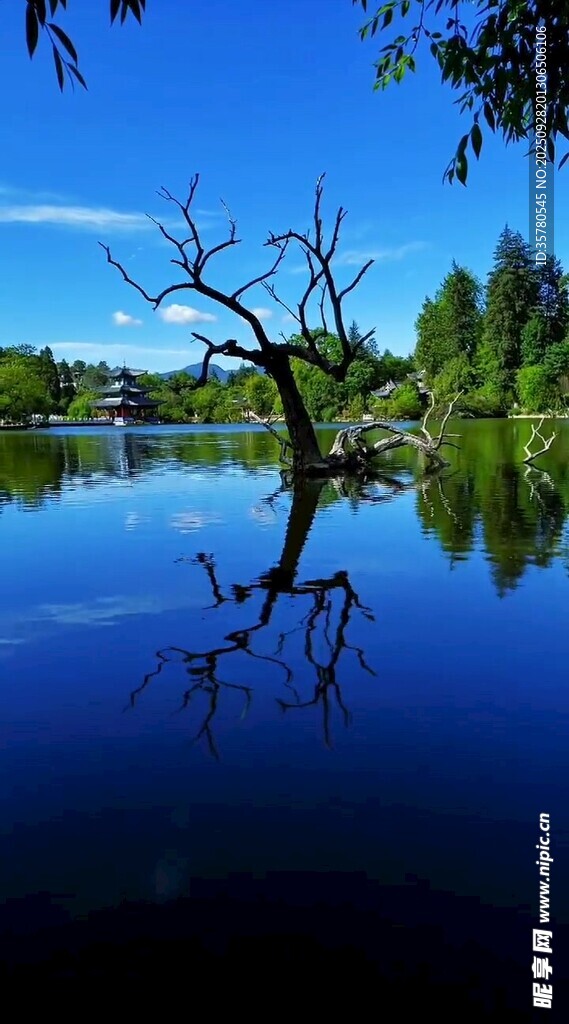 宁静湖畔美景