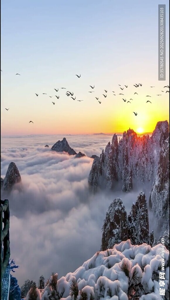 雪后黄山日出飞鸟美景