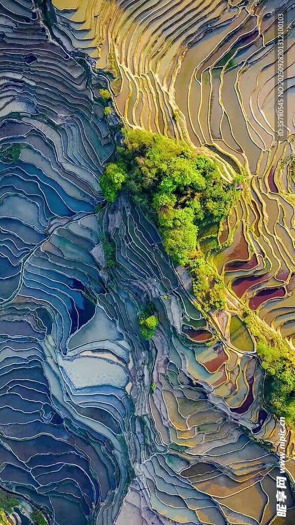 五彩梯田景观