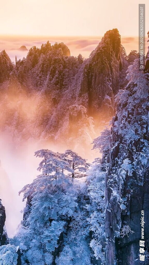 雪后黄山壮丽云海景观