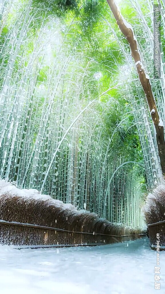 林间瀑布流水自然美景