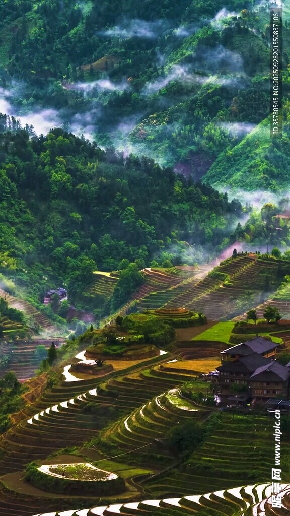 山间梯田美景