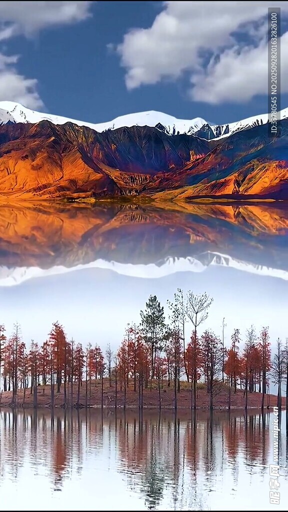 湖光山色中的红杉树美景