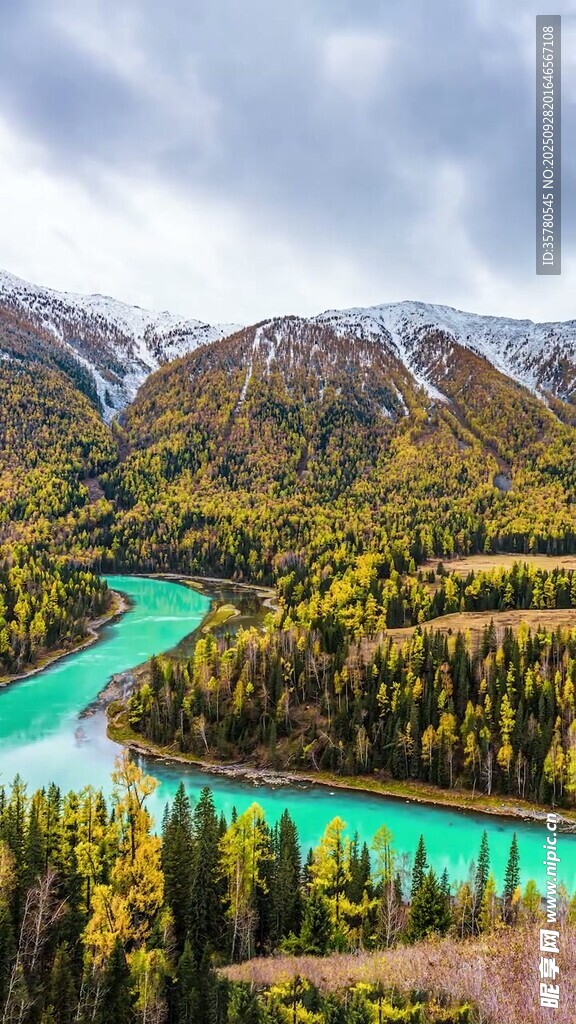 蜿蜒绿河穿行山林美景