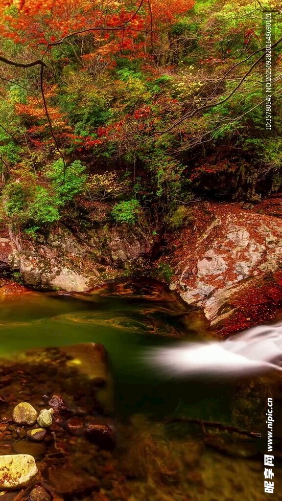 秋日溪边美景