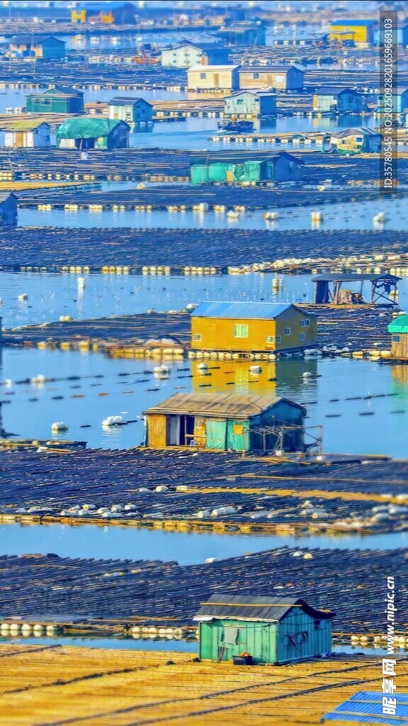 海上养殖场景