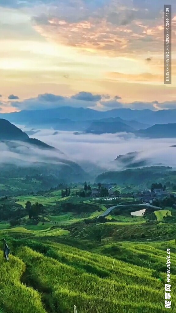 山间晨雾中的翠绿梯田