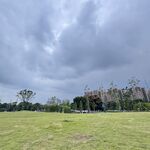 阴天的开阔草地与远处树木