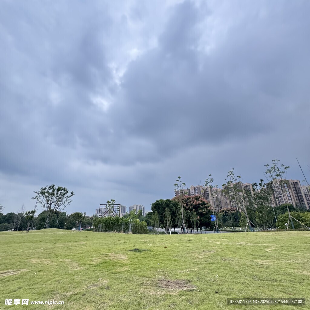 阴天的开阔草地与远处树木