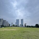 城市绿地与远处高楼景观