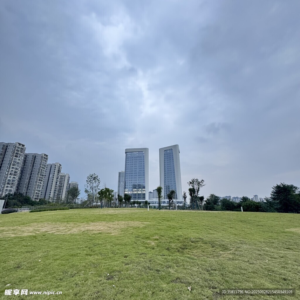 城市绿地与远处高楼景观