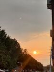 夕阳下的街道树木美景