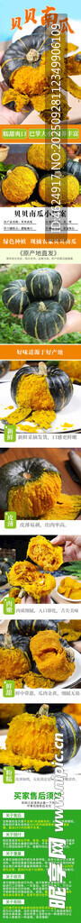 板栗贝贝南瓜