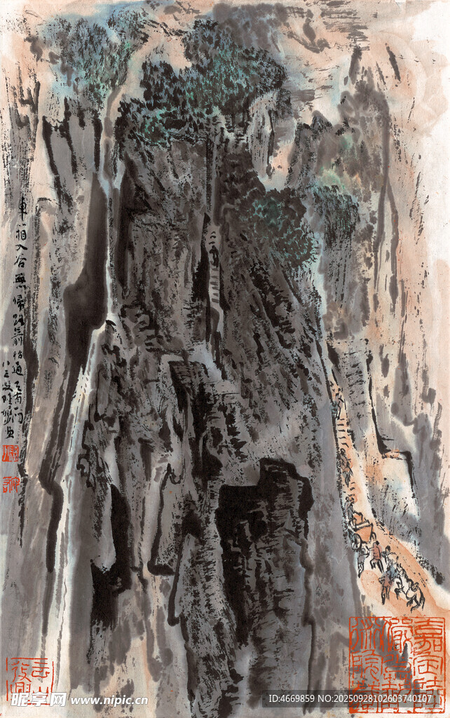 神秘古老森林景观