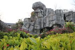 文化馆