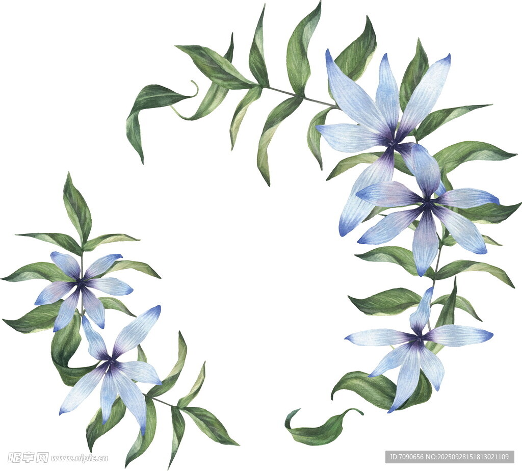 蓝花绿叶组成的精美花环