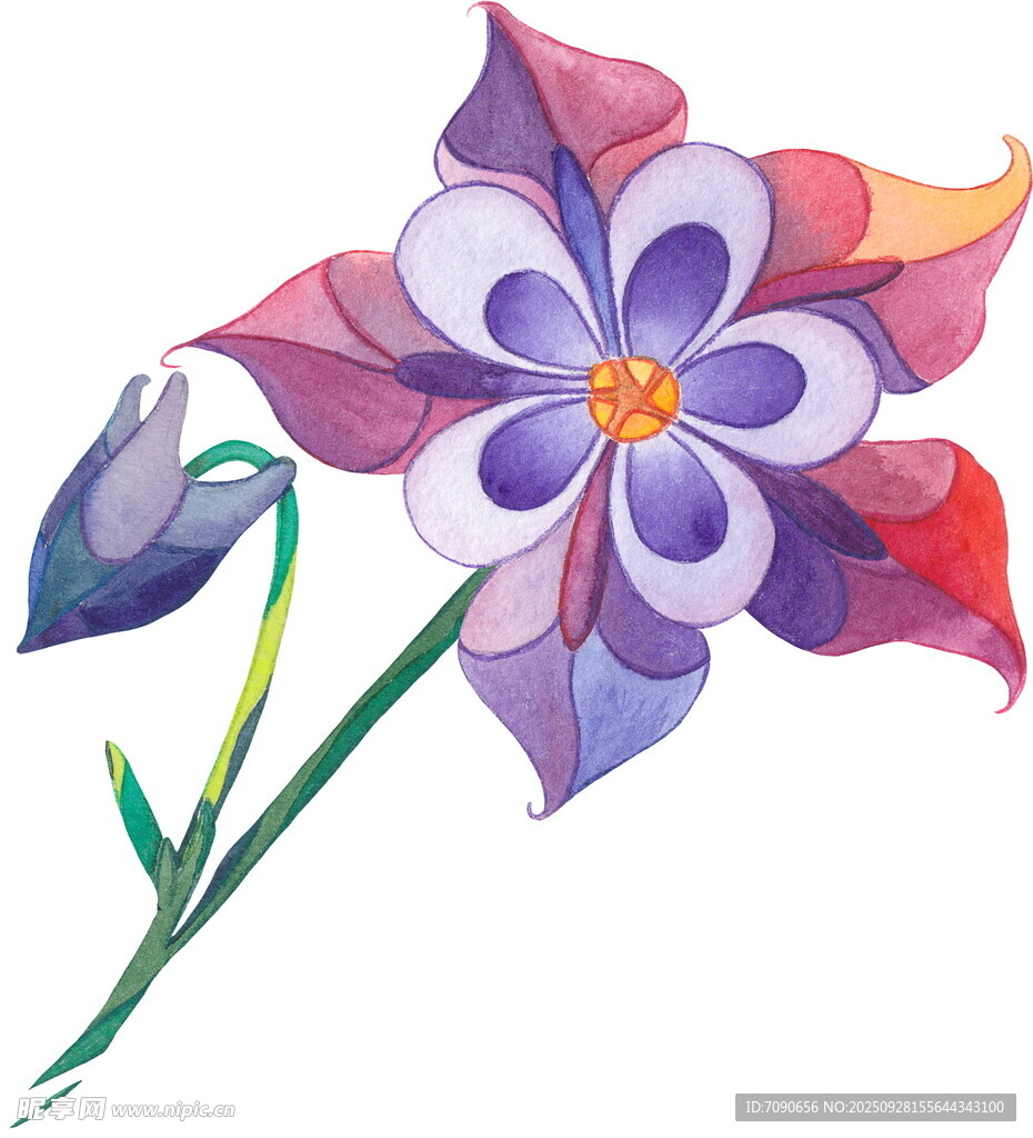 多彩水彩花卉插画