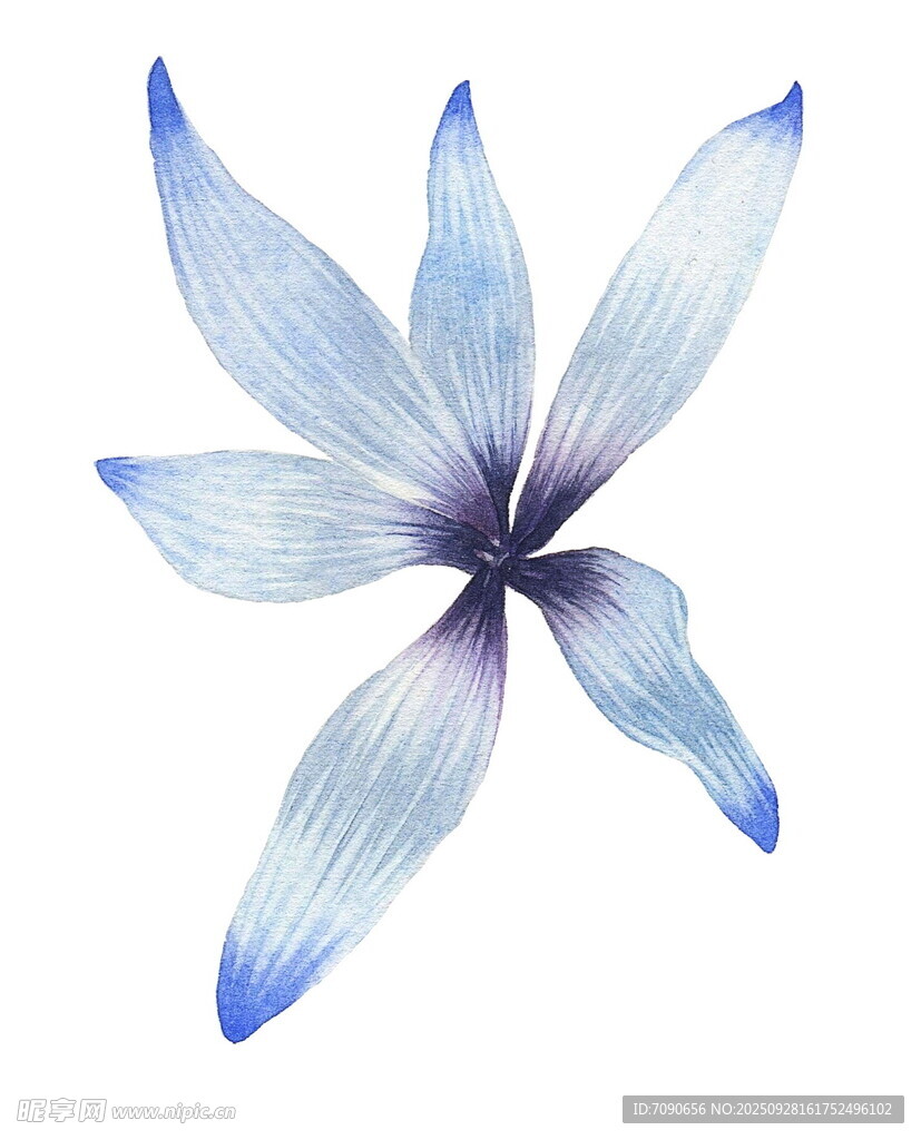 蓝色手绘花朵插画