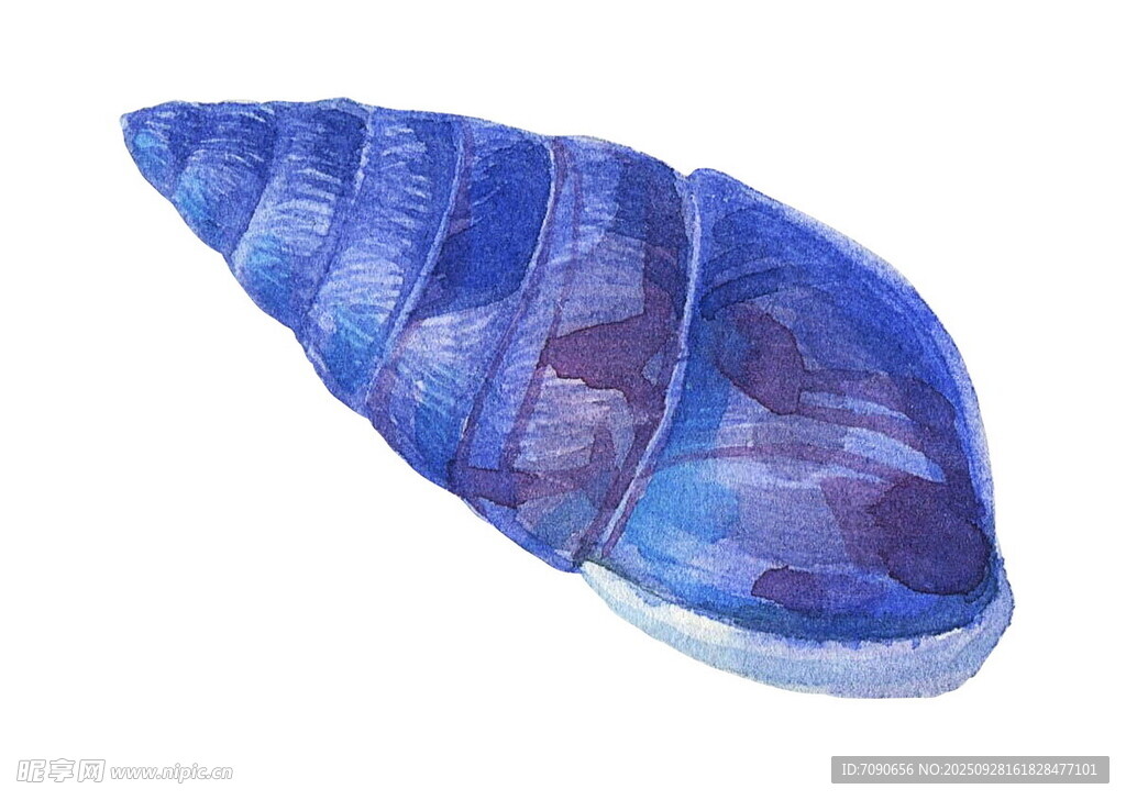 蓝色水彩风贝壳 