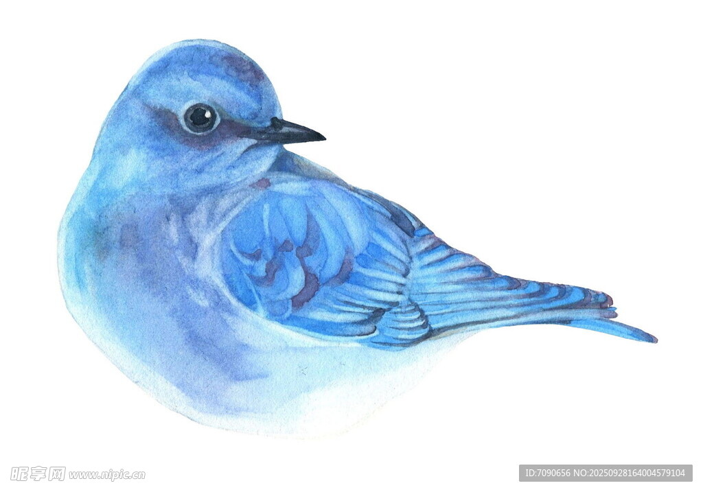 蓝色小鸟水彩画