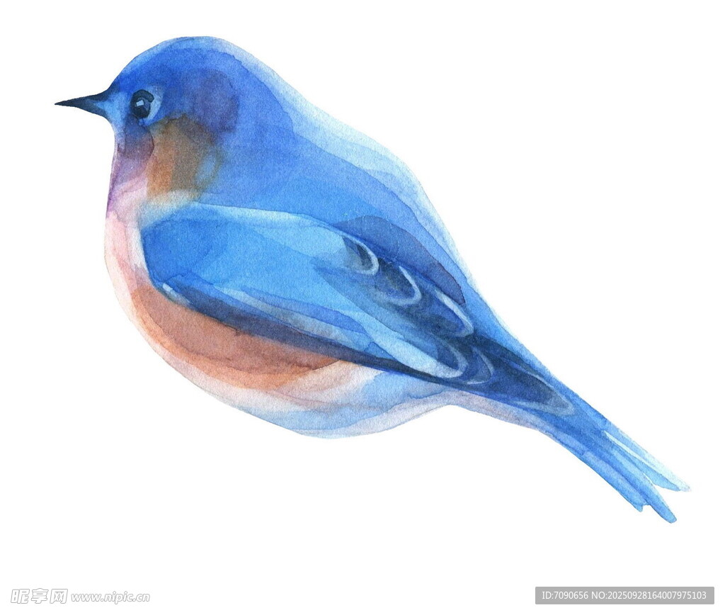 蓝色水彩小鸟插画