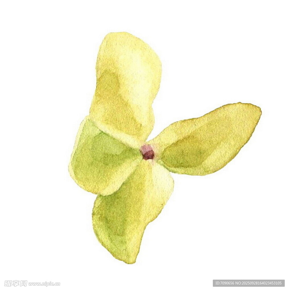 黄色四瓣花水彩画