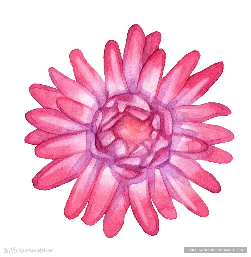 粉色手绘花朵图案