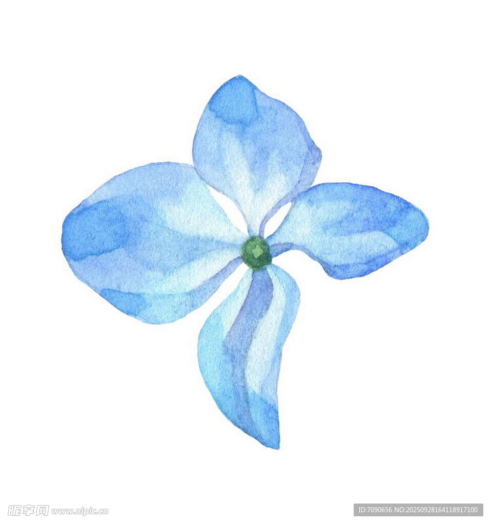 蓝色水彩绘精致单朵小花