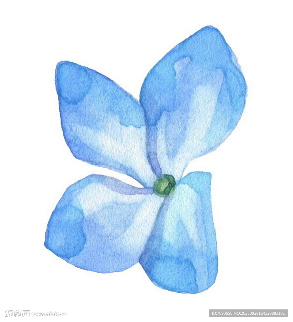 蓝色水彩花朵插画