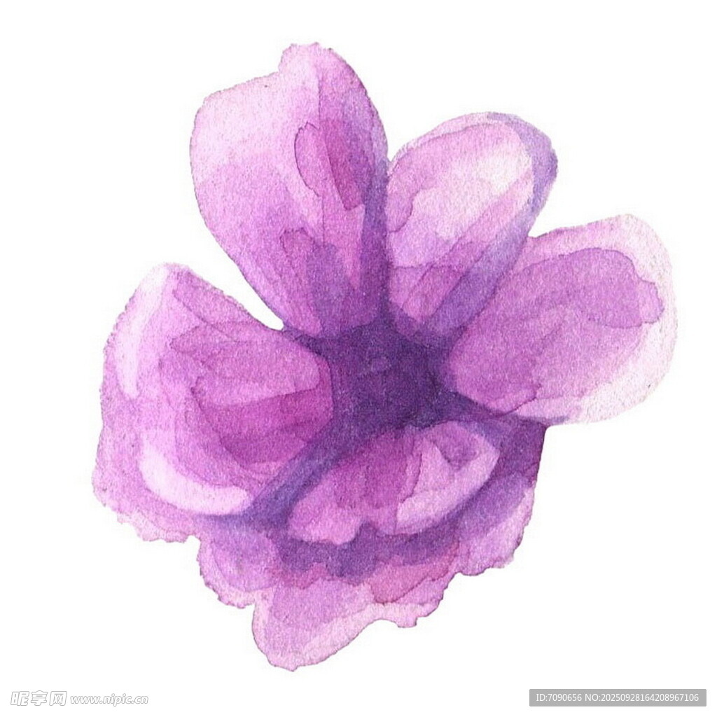 紫色水彩花卉插画