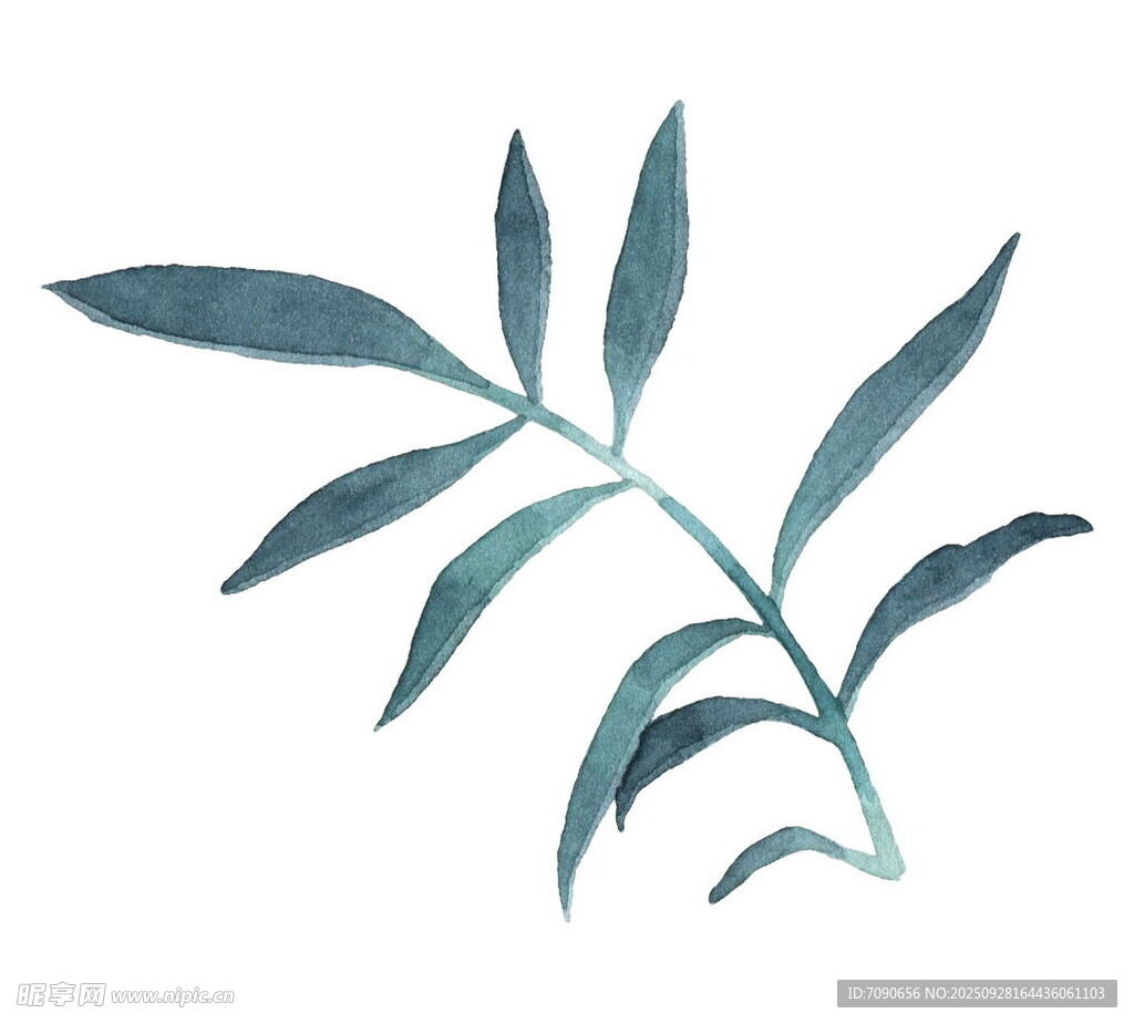 水彩绘蓝绿色植物枝叶