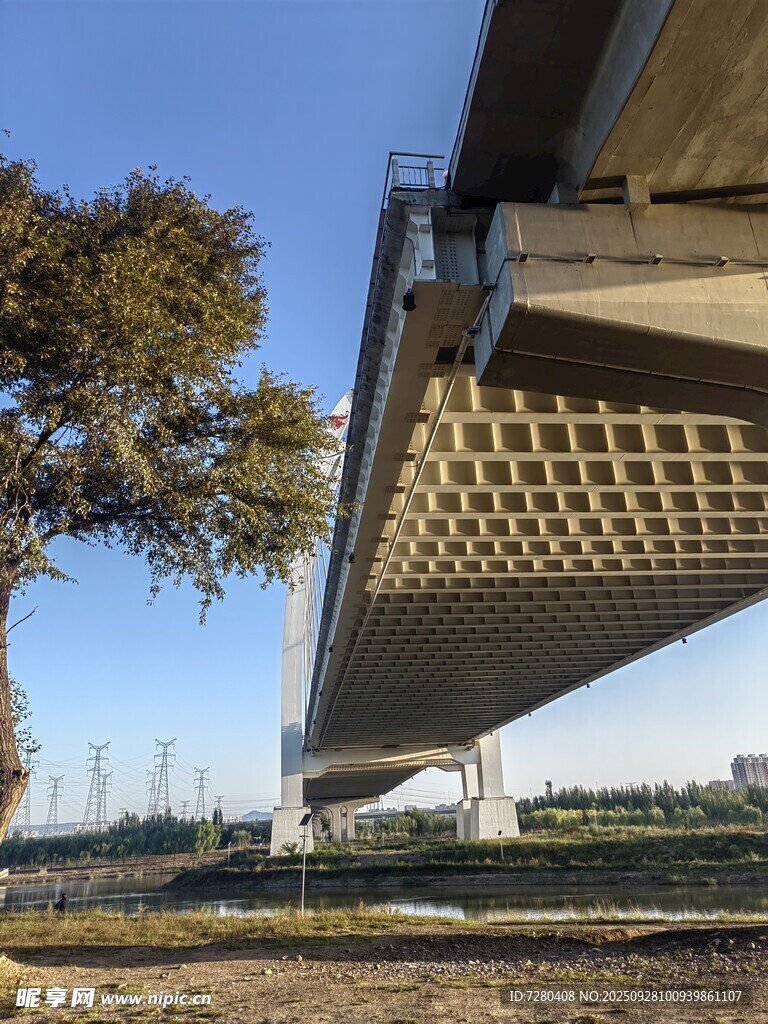 高架桥旁的树木与开阔景致